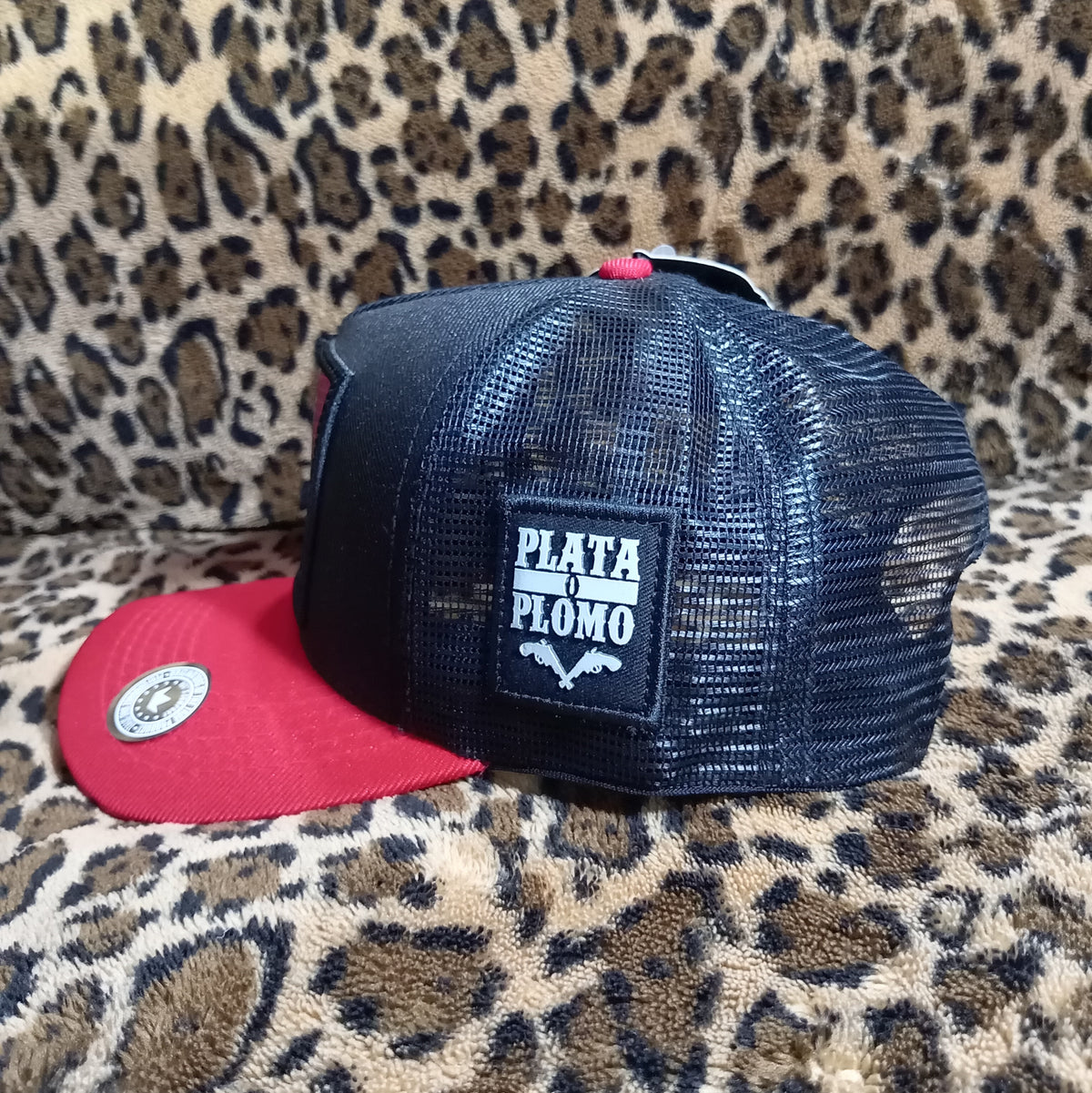 "Plata o Plomo"